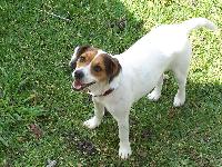 Daisy